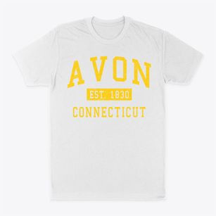 Avon Connecticut Classic Established Classic Dad T-Shirt