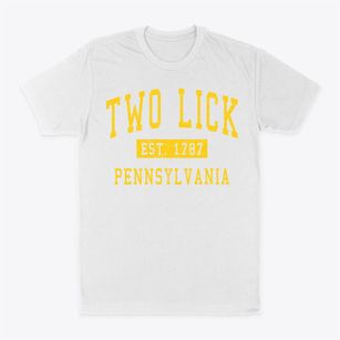 Two Lick Pennsylvania Classic Established Classic Dad T-Shirt