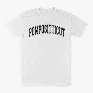 Pompositticut Primary School Varsity Arch Classic Dad T-Shirt
