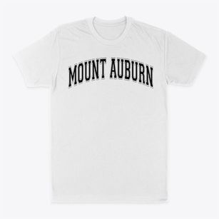 Mount Auburn Prep Academy Varsity Arch Classic Dad T-Shirt