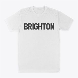 Brighton Vermont Classic Block Classic Dad T-Shirt