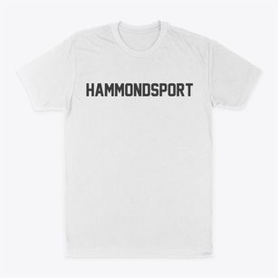 Hammondsport New York Classic Block Classic Dad T-Shirt