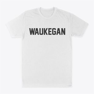 Waukegan Illinois Classic Block Classic Dad T-Shirt