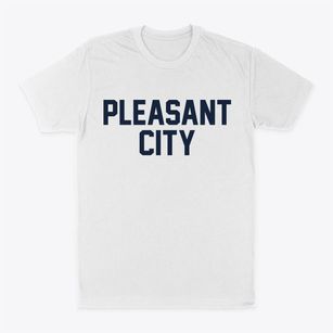 Pleasant City Ohio Classic Block Classic Dad T-Shirt
