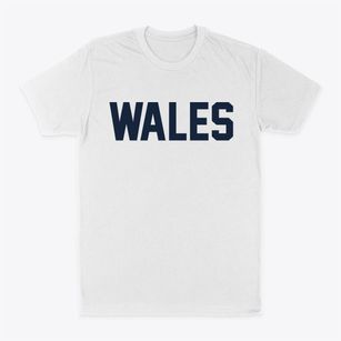 Wales Utah Classic Block Classic Dad T-Shirt