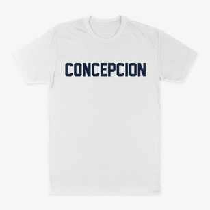 Concepcion Texas Classic Block Classic Dad T-Shirt