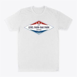 Level Park-oak Park Michigan Diamond Star Classic Dad T-Shirt