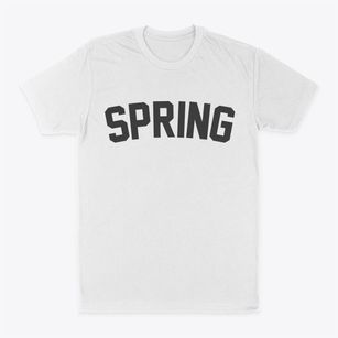 Spring Texas Classic Curve Classic Dad T-Shirt