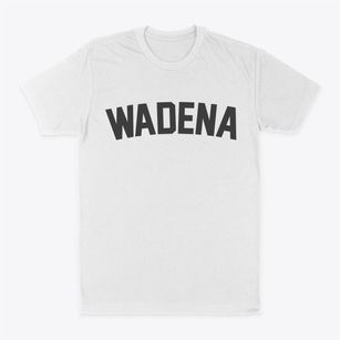 Wadena Minnesota Classic Curve Classic Dad T-Shirt