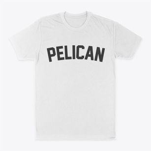 Pelican Wisconsin Classic Curve Classic Dad T-Shirt