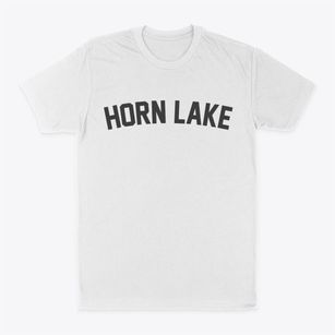 Horn Lake Mississippi Classic Curve Classic Dad T-Shirt