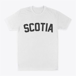 Scotia South Carolina Classic Curve Classic Dad T-Shirt