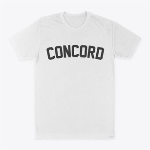 Concord Illinois Classic Curve Classic Dad T-Shirt