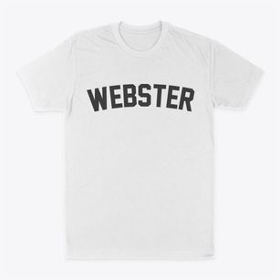 Webster Iowa Classic Curve Classic Dad T-Shirt