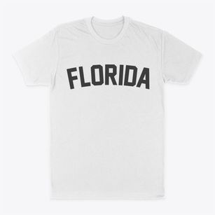 Florida Missouri Classic Curve Classic Dad T-Shirt