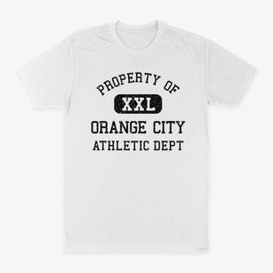 Orange City Iowa Athletic Dept Classic Dad T-Shirt