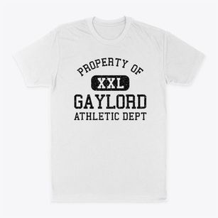 Gaylord Michigan Athletic Dept Classic Dad T-Shirt