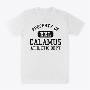 Calamus Iowa Athletic Dept Classic Dad T-Shirt