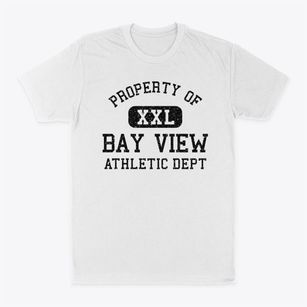 Bay View Michigan Athletic Dept Classic Dad T-Shirt