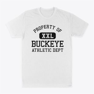 Buckeye Iowa Athletic Dept Classic Dad T-Shirt