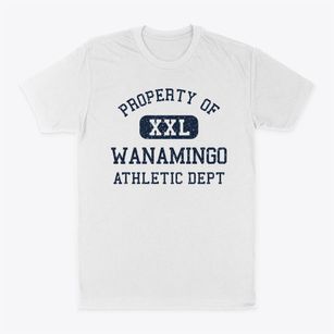 Wanamingo Minnesota Athletic Dept Classic Dad T-Shirt