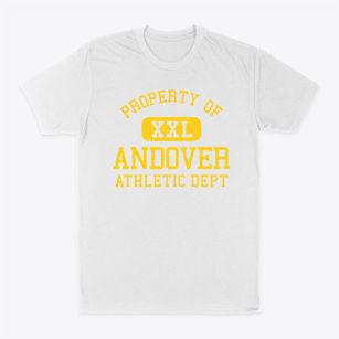 Andover Iowa Athletic Dept Classic Dad T-Shirt