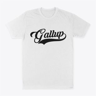 Gallup New Mexico Vintage Team Classic Dad T-Shirt