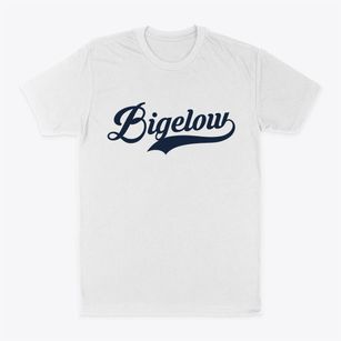 Bigelow Minnesota Vintage Team Classic Dad T-Shirt