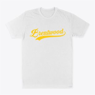Brentwood New Hampshire Vintage Team Classic Dad T-Shirt