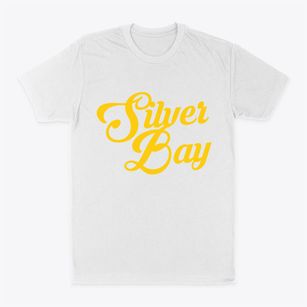 Silver Bay Minnesota Vintage Team Classic Dad T-Shirt