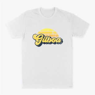 Gilboa New York Sublime Sunset Classic Dad T-Shirt