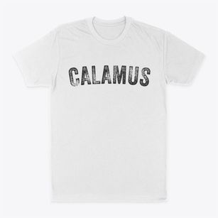 Calamus Wisconsin Timeless Retro Classic Dad T-Shirt