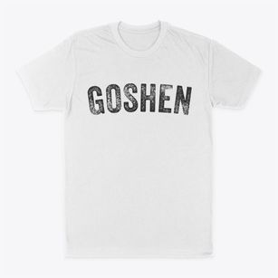 Goshen Ohio Timeless Retro Classic Dad T-Shirt