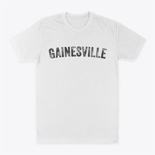 Gainesville Texas Timeless Retro Classic Dad T-Shirt