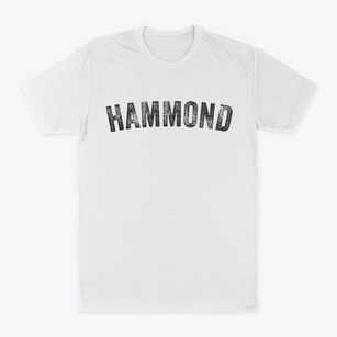 Hammond Indiana Timeless Retro Classic Dad T-Shirt