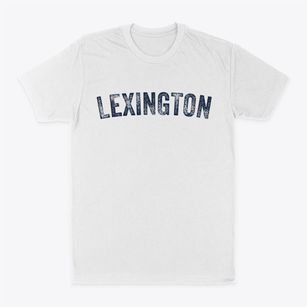 Lexington South Carolina Timeless Retro Classic Dad T-Shirt