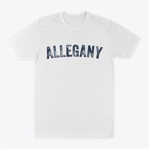 Allegany New York Timeless Retro Classic Dad T-Shirt