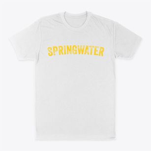 Springwater New York Timeless Retro Classic Dad T-Shirt