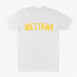 Mettawa Illinois Timeless Retro Classic Dad T-Shirt