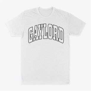 Gaylord Michigan Trendy Block Classic Dad T-Shirt
