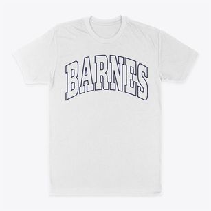 Barnes Wisconsin Trendy Block Classic Dad T-Shirt