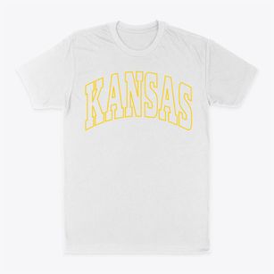 Kansas Illinois Trendy Block Classic Dad T-Shirt