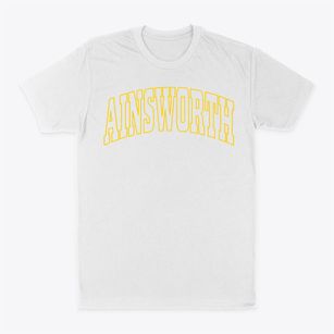 Ainsworth Wisconsin Trendy Block Classic Dad T-Shirt