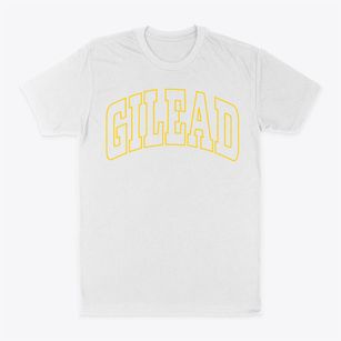 Gilead Maine Trendy Block Classic Dad T-Shirt