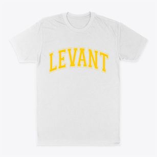 Levant Maine Varsity Classic Dad T-Shirt