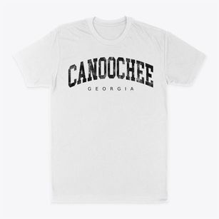 Canoochee Georgia Urban Vibe Classic Dad T-Shirt