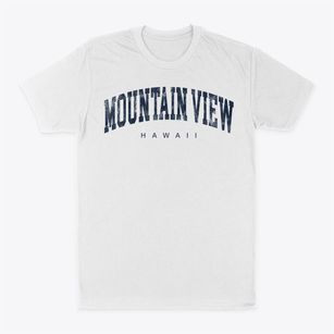 Mountain View Hawaii Urban Vibe Classic Dad T-Shirt