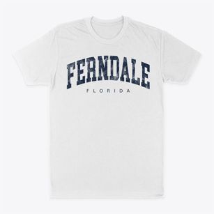 Ferndale Florida Urban Vibe Classic Dad T-Shirt