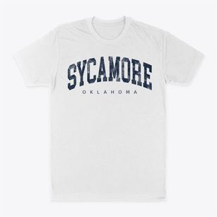 Sycamore Oklahoma Urban Vibe Classic Dad T-Shirt