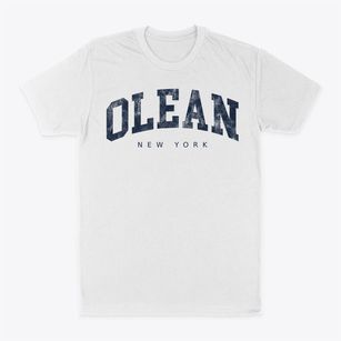 Olean New York Urban Vibe Classic Dad T-Shirt